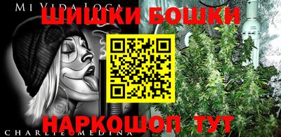 mdpv Владикавказ