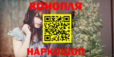 mdpv Владикавказ