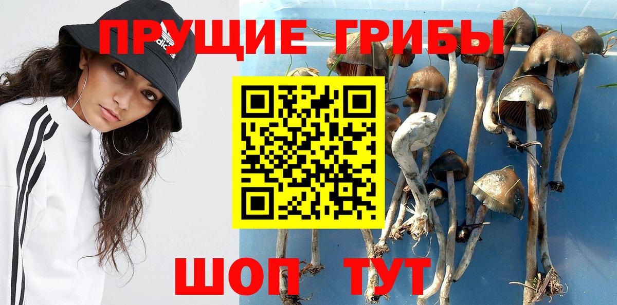 Кострома  Псилоцибиновые грибы мухоморы  Вход с VPN 